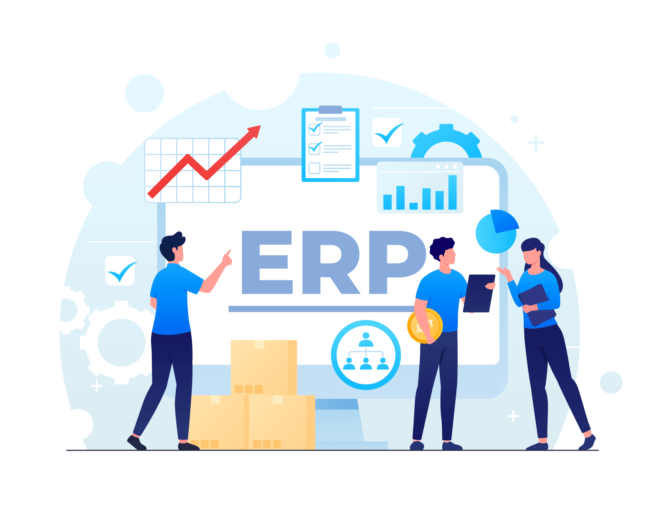 ERP Implementation Services